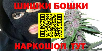 СК Новозыбков