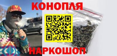 СК Новозыбков