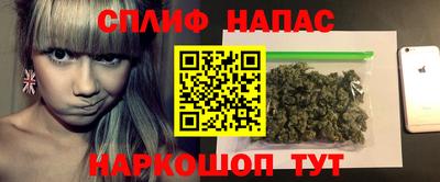 СК Новозыбков