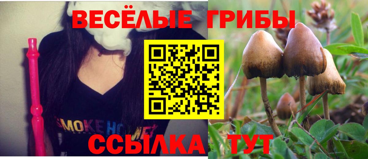 Псилоцибиновые грибы мухоморы Симферополь